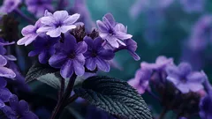 Weder Lavendel noch Jasmin: die Pflanze, die nach Vanille duftet und fast niemand kennt