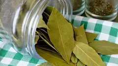 Warum man Lorbeerblätter unter den Kühlschrank in der Küche legen sollte: Nur wenige kennen die Antwort darauf.